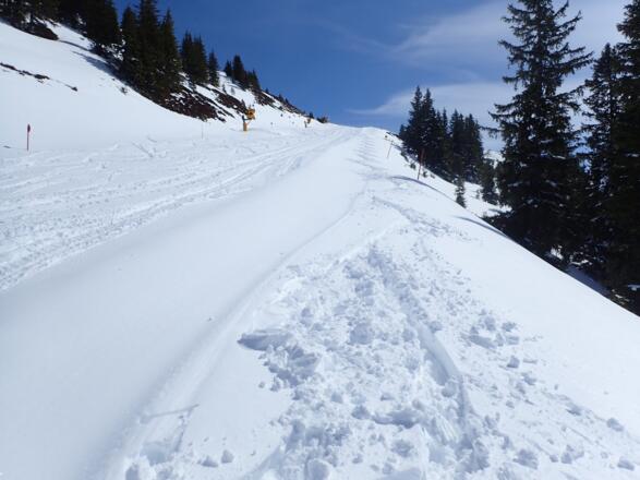 Abfahrt vom Westgipfel, der Pulverschnee wird schon schwerer