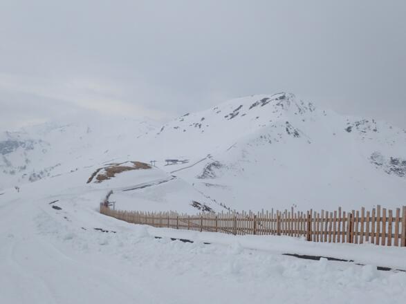 Gipfelanstieg Zwölferkogel, rechts hinten Hohe Penhab