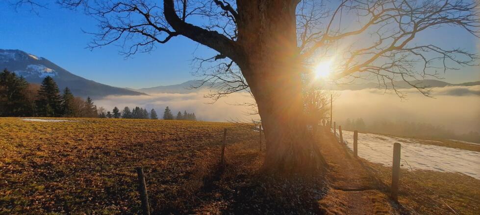 Winteridylle beim Abstieg vom Schwarzenberg nahe Steingraben