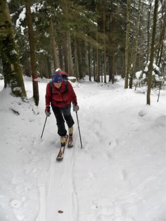 einfacher Waldanstieg