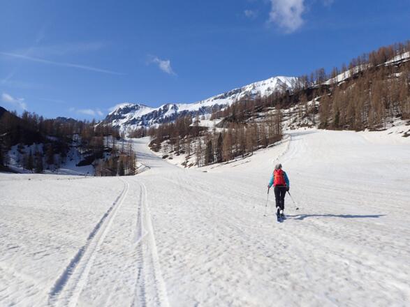 Zum Gamskogel wählt man die untere Piste