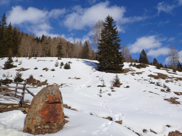 Südseitig apern die Hänge bald aus