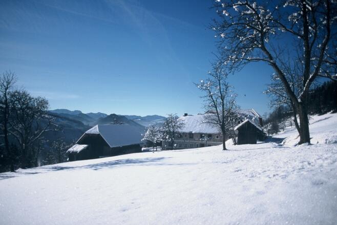 Winterwandern am Panoramaweg Steinbach