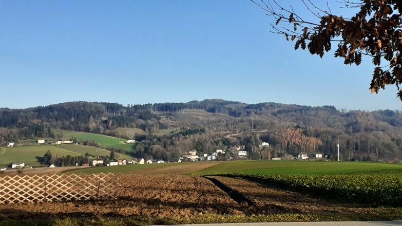 Kürnberg von Westen (Reith) gesehen.