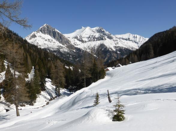 Bartlalm mit Zwillingwand - Guglspitzen - Hochfeind - Schwarzeck