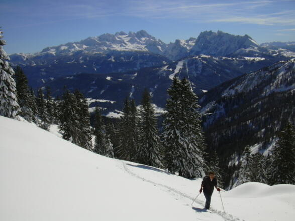 Dachstein und Gosaukamm