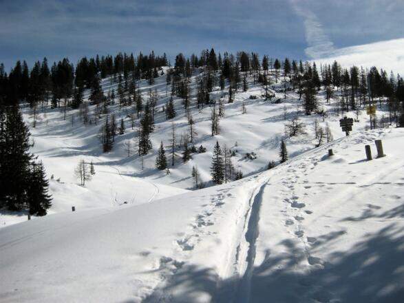 Sattel vor dem Westlichen Brandlbergkopf