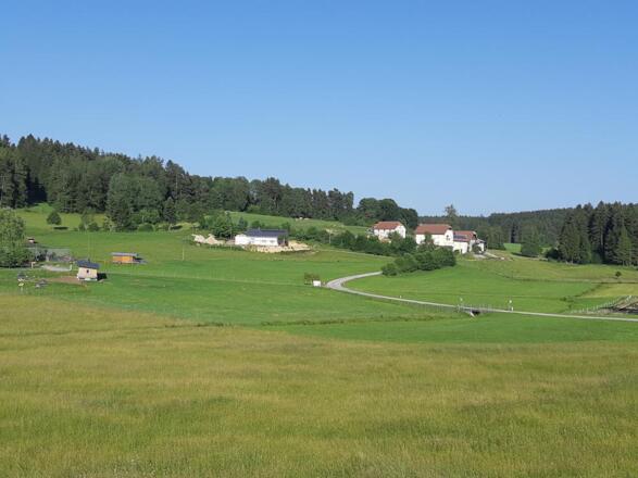 Die ersten Häuser von Mitterbach
