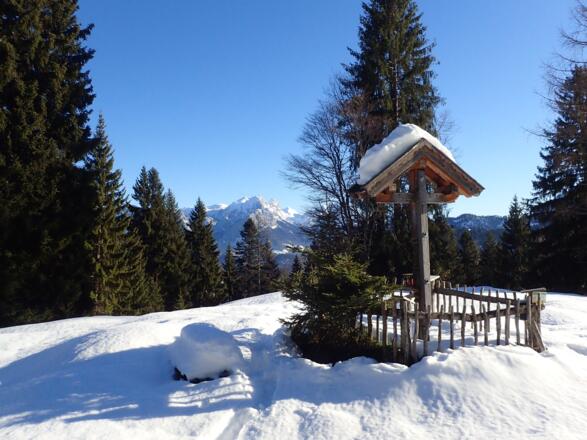 Dickkopf, im Hintergrund Häuslhorn - Stadlhorn - Steintalhörndl