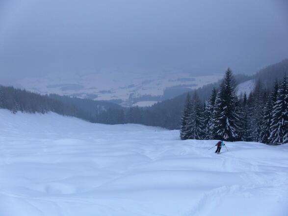 wellige Wiesen der Moosgassneralm