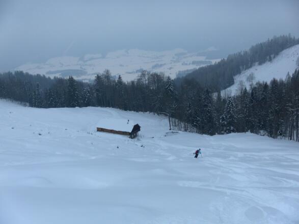 Moosgassneralm über Weissenbach