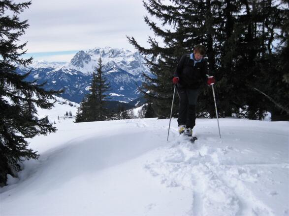 Hochkönig vom Östlichen Brandlbergkopf