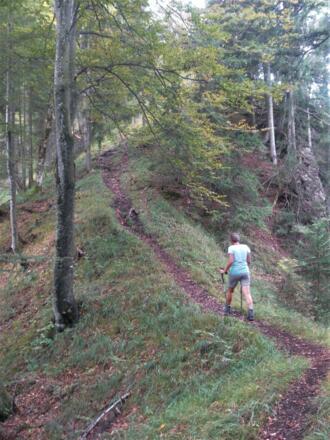 Wanderpfad am Nordgratrücken