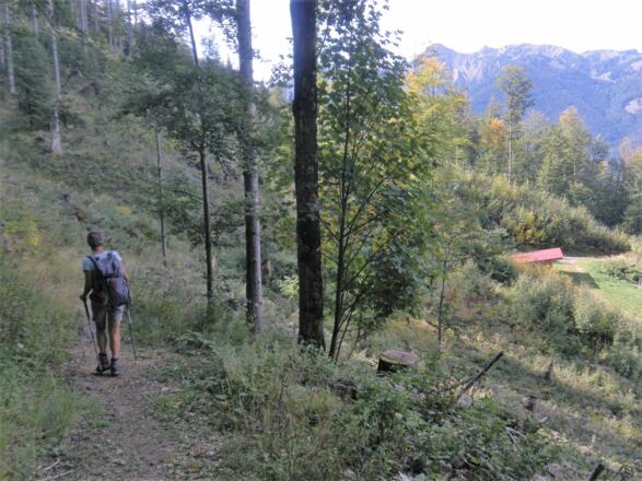 Ziehweg nach Achberg