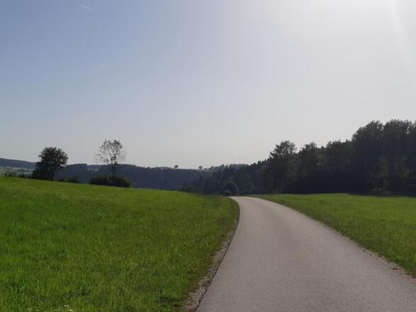 Weg in Richtung Posthof