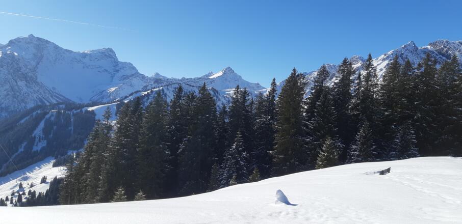 Ausblick auf den Rätikon genießen