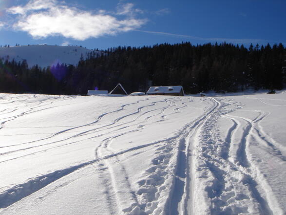 Unterhalb der Reifensteineralm