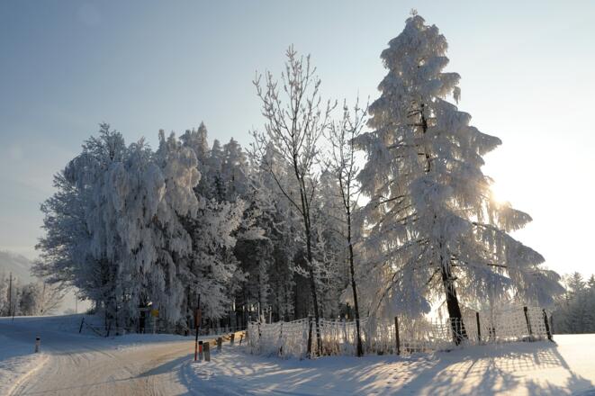 Winterwanderung Rundweg Kremsweg