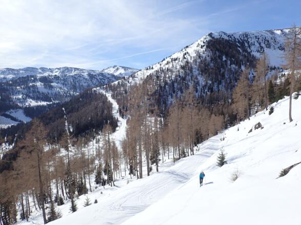 Zunehmend freie Hänge