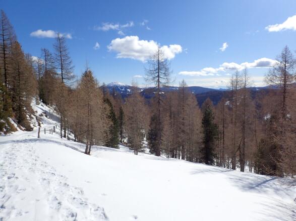 Gemächlicher Anstieg über den Fahrweg