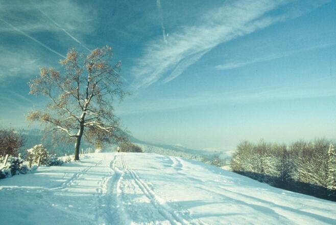 Winterwandern am Panoramaweg Steinbach