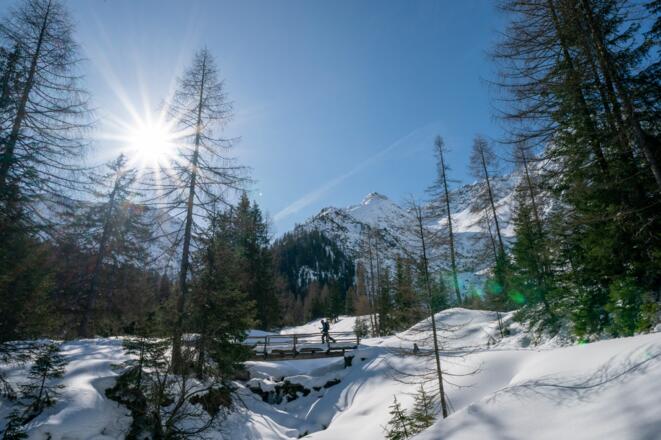 Auf dem Weg zur Grießbachalm.