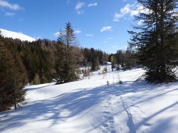Zurück in Richtung Prebersee