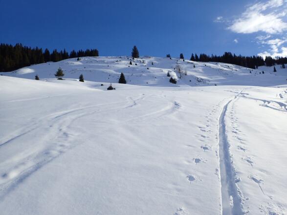 Die Hänge oberhalb der Stiegeralm