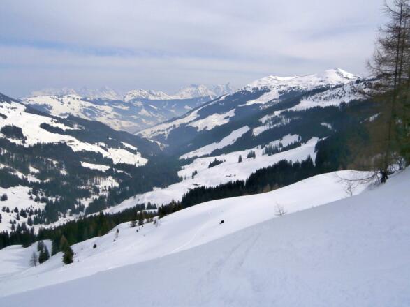 Blick in den Schwarzachengraben