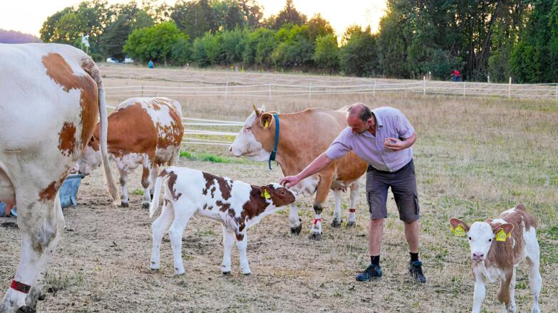 Käse am Spielplatz Hausheim