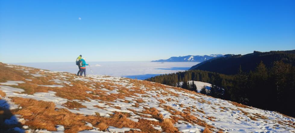 Blick vom Schwarzenberg über das Nebelmeer bis in die Chiemgauer Alpen