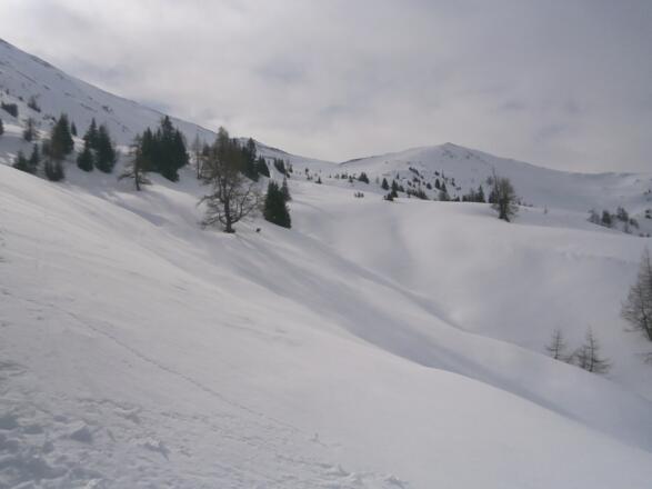 Kupiertes Gelände oberhalb der Alm