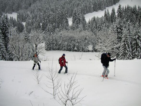 Wiesen der Eiböckalm