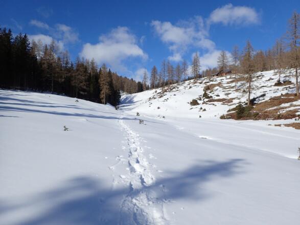 Das letzte Stück vorm See