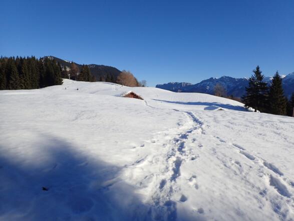 Die Senke mit der Dachs-Alm