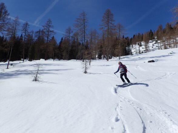 Fast durchwegs schöne Hänge