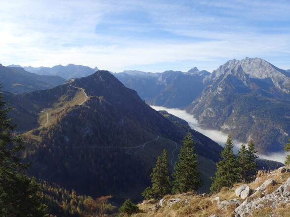 Jenner und nebelbedeckter Königssee