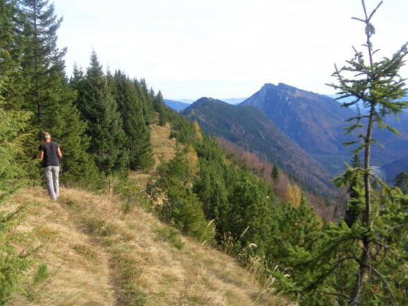 Unternberg und Rauschberg vom Südkamm