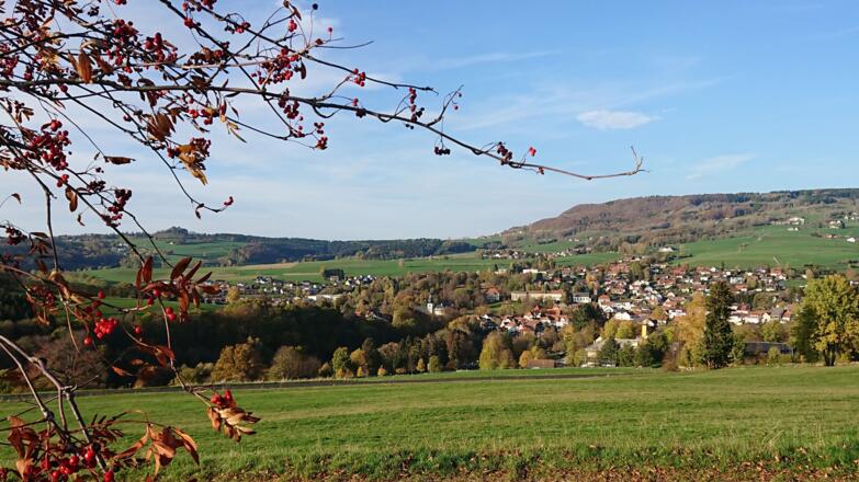 Gersfeld mit dem Wachtküppel im Hintergrund (S. Zimmermann, cc by-nc-nd)
