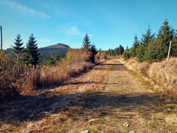 Kleiner Arber mit Weg zur Chamer Hütte