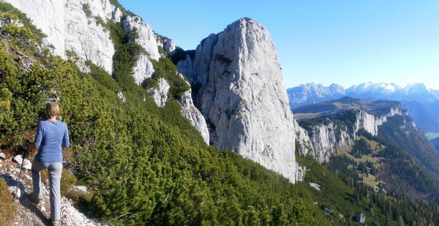 Südabstürze von Steinplatte und Sonnwand