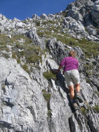 Gamsspitzl Anstieg über Westgrat