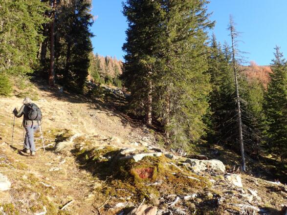 Aufstieg am Lachriegel Südhang