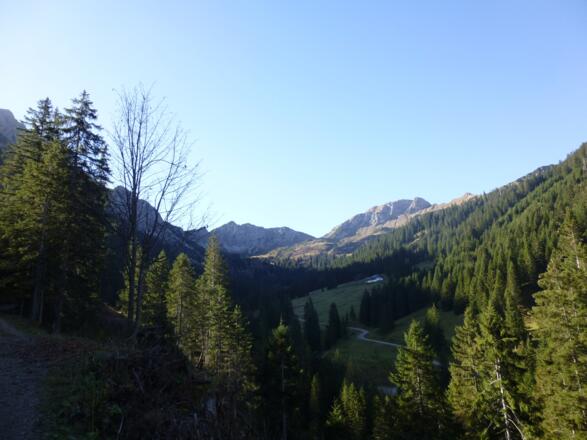 Edenbachalm mit Ostflanke der Sulzspitze und Strindenschartenkopf