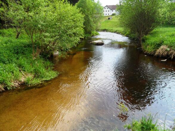Weiße und Schwarze Aist werden zur Waldaist