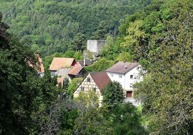 Burgruine Osternohe