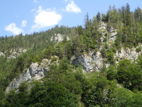 Der Klettersteig verläuft ungefähr über den bewaldeten mittleren Felsrücken