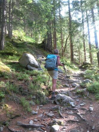 Waldpfad zur Falbesoner Ochsenalm