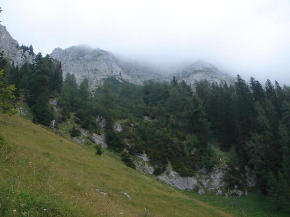 Steilwiesen beim Abstieg von der Brettgabel