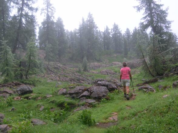 felsdurchsetzte Wiesenmulden